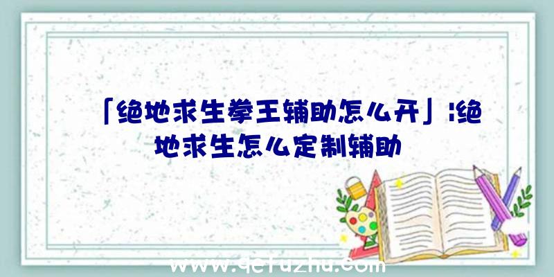 「绝地求生拳王辅助怎么开」|绝地求生怎么定制辅助